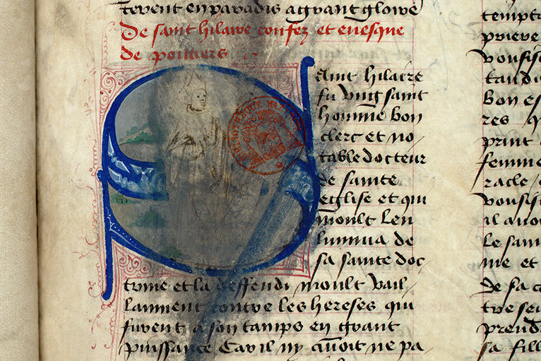 Fleur des histoires - Saint Hilaire