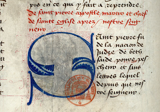 Fleur des histoires - Saint Pierre