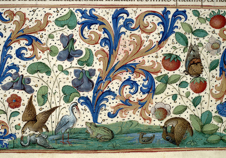 Antiquitates judaicae - Oiseaux, grenouille et papillon_1