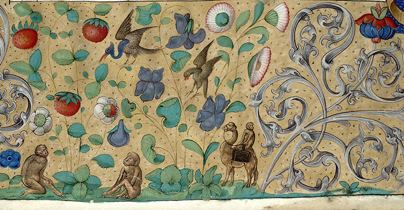 Antiquitates judaicae - Singes, dromadaire et oiseaux_1