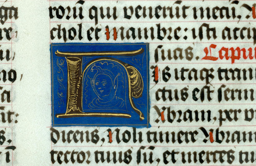 Bible - Fou