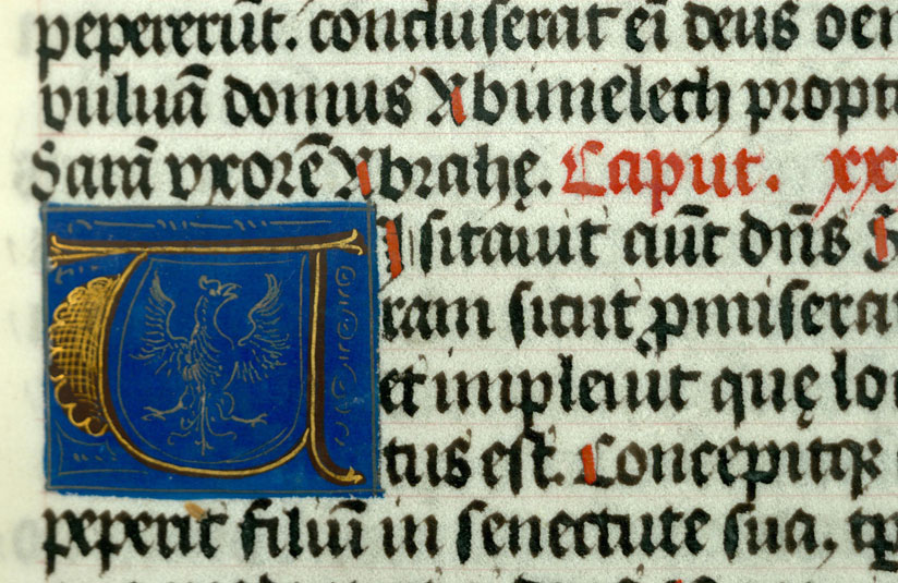 Bible - Aigle aux ailes déployées