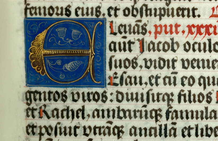 Bible - Initiale ornée