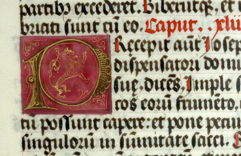 Bible - Lion