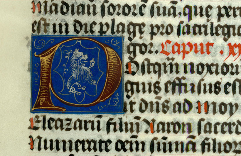 Bible - Lion