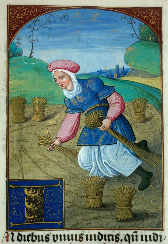 Bible - Ruth glanant
