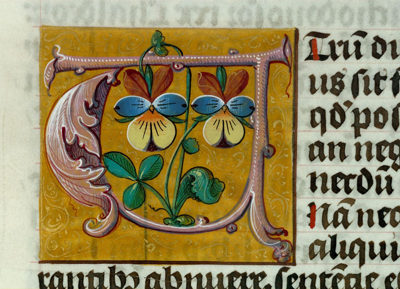 Bible - Pensées