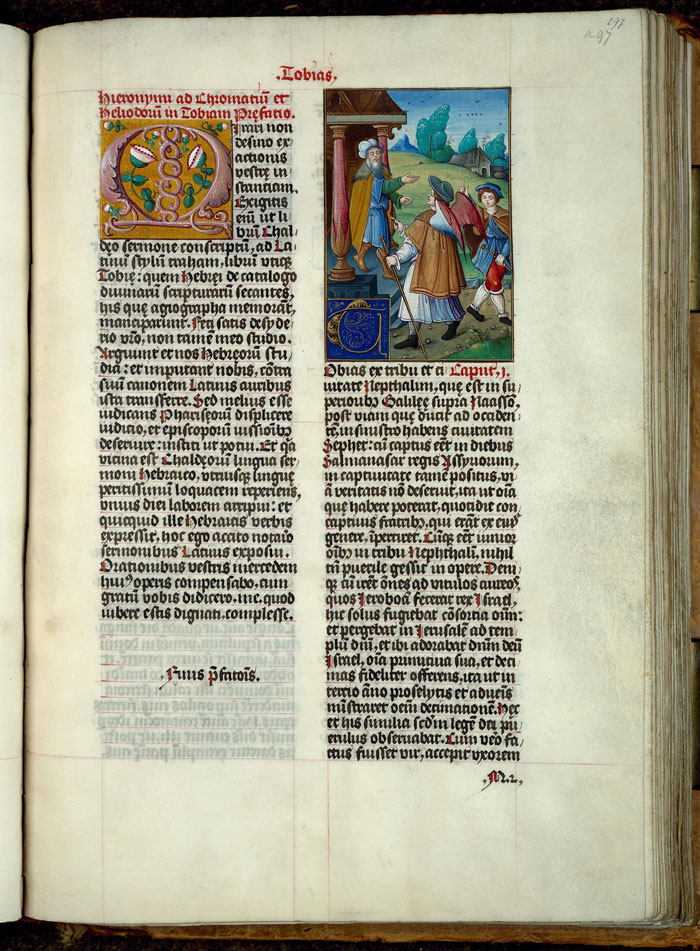 Bible - Pâquerettes_1
