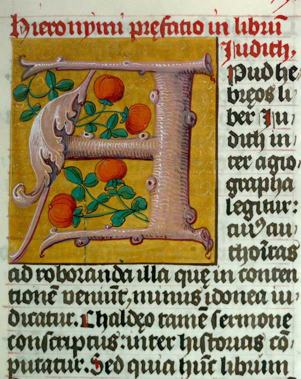 Bible - Fleurs