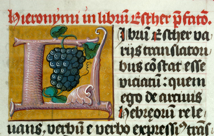 Bible - Raisin