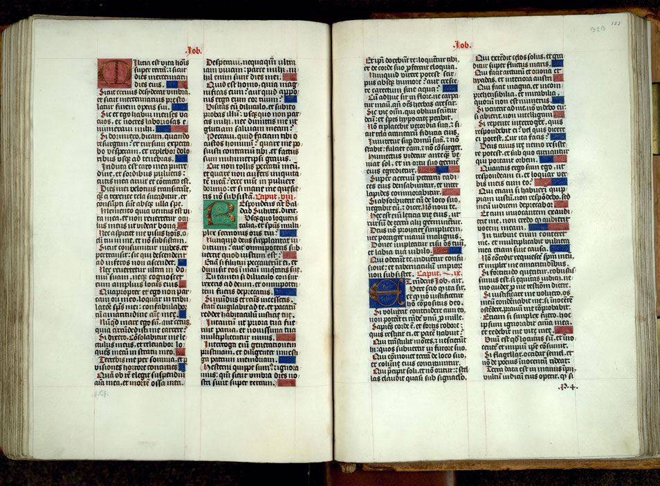 Bible - Initiales ornées et bouts-de-ligne champis