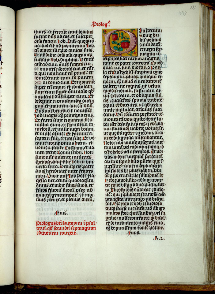 Bible - Fraises_1