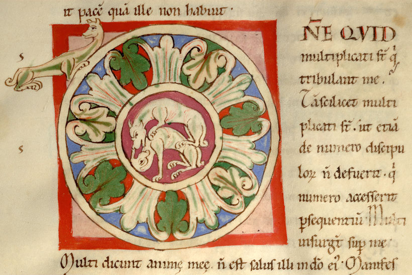 Enarrationes in Psalmos - Fauves