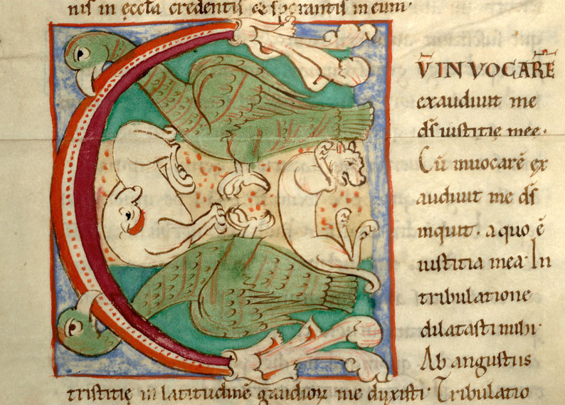 Enarrationes in Psalmos - Oiseaux et fauves