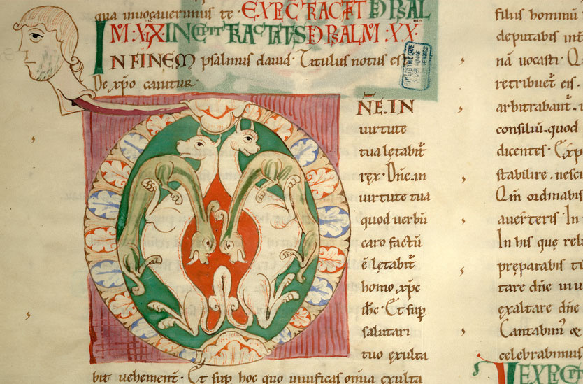 Enarrationes in Psalmos - Fauves