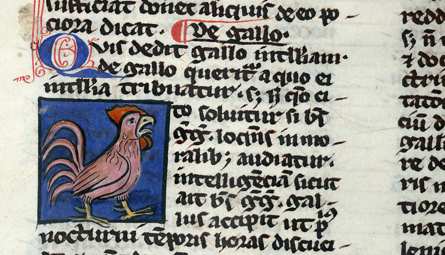 Bestiaire - Coq chantant