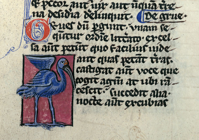 Bestiaire - Grue
