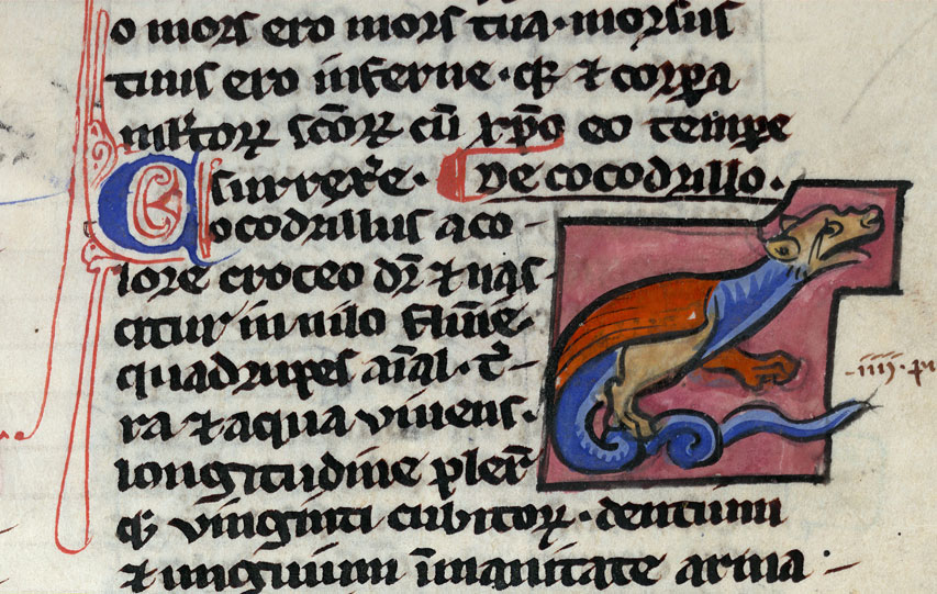 Bestiaire - Crocodile