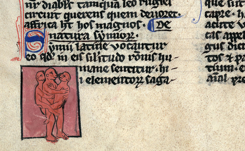 Bestiaire - Singe portant des jumeaux