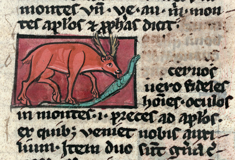 Bestiaire - Cerf mangeant un serpent