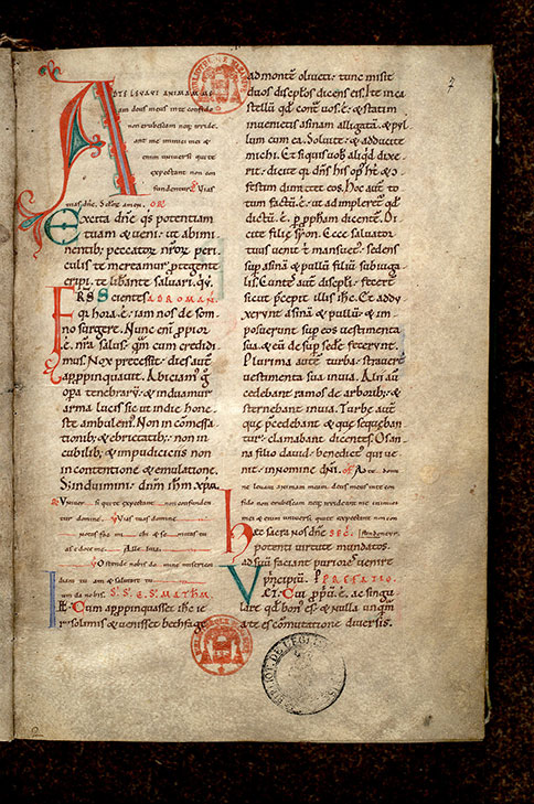 Missel à l'usage de Bayeux - Initiale de couleur ornée_0