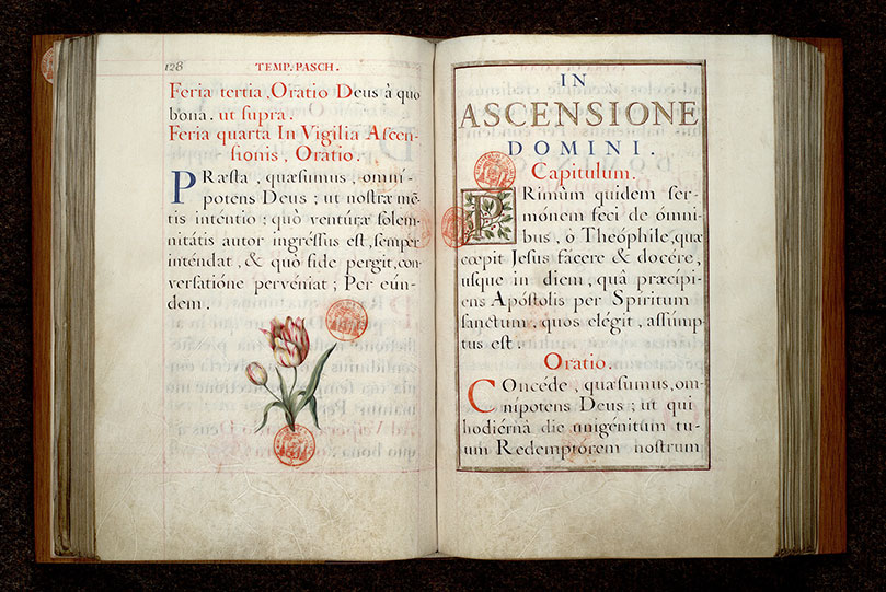 Collectaire à l'usage de Notre-Dame de Paris - Tulipes