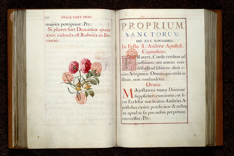 Collectaire à l'usage de Notre-Dame de Paris - Fleurs
