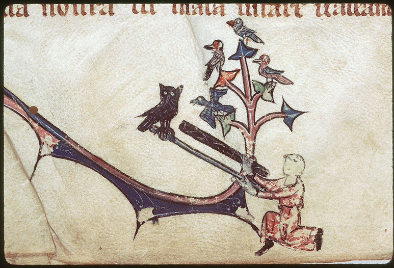 Office de saint Gatien - Chasse aux oiseaux