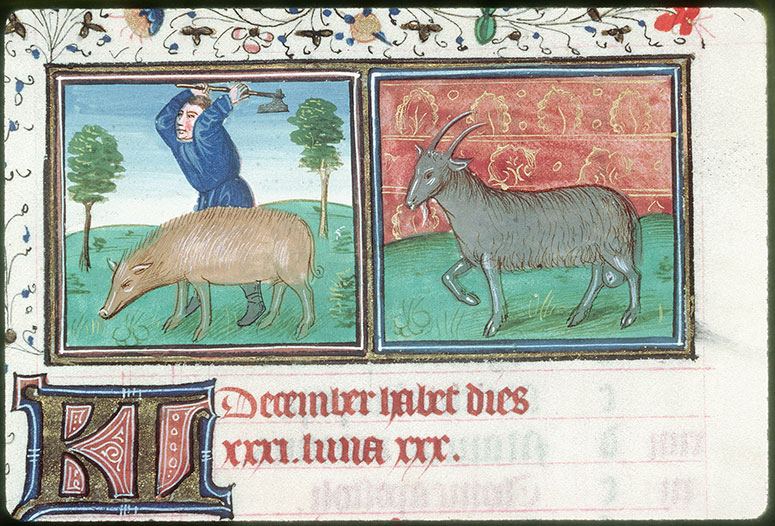 Heures à l'usage de Rome - Abattage du cochon