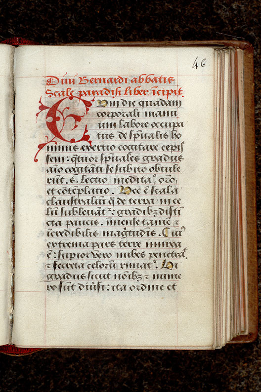 ? - Initiale de couleur ornée_0