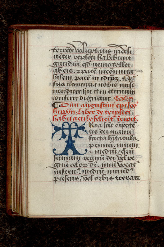 ? - Initiale de couleur ornée_0