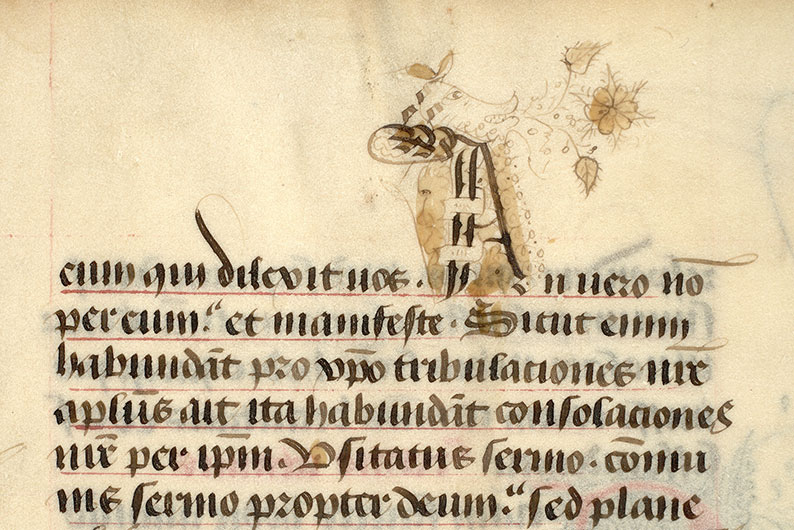 ? - Tête animale crachant des végétaux/Tête d'homme