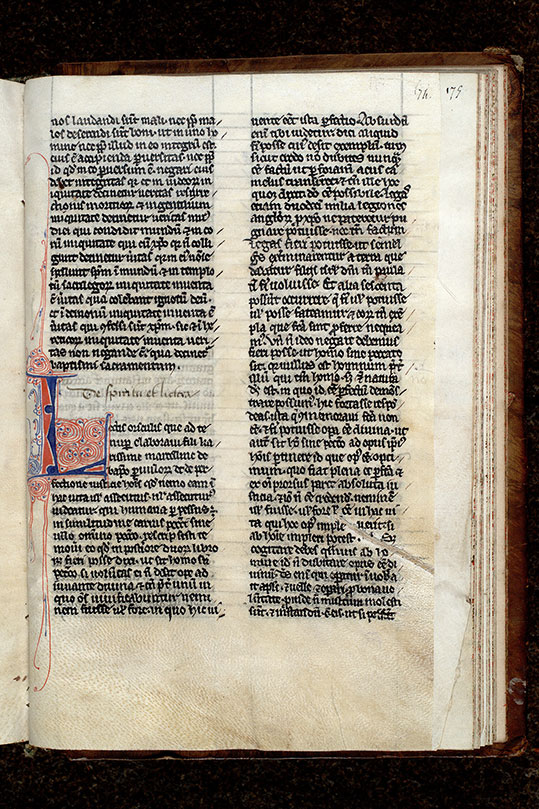 ? - Initiale filigranée_0