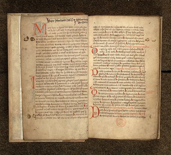 ? - Initiales de couleur et filigranées