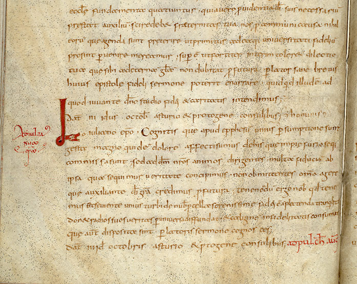 ? - Hybride zoomorphe_0