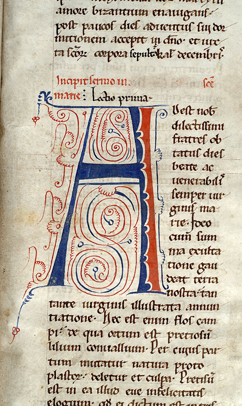 ? - Initiale filigranée_0