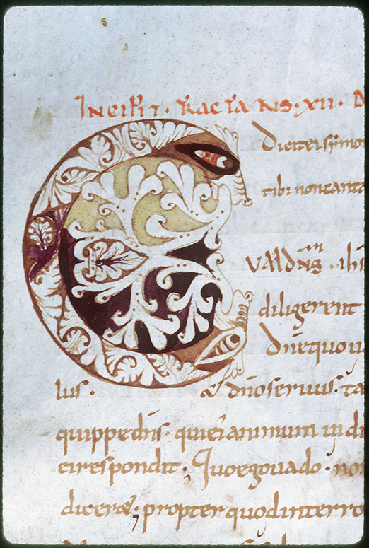 Tractatus in Evangelium Johannis - Initiale ornée