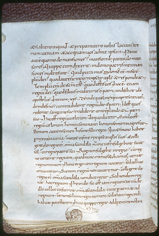 Tractatus in Evangelium Johannis - Végétal
