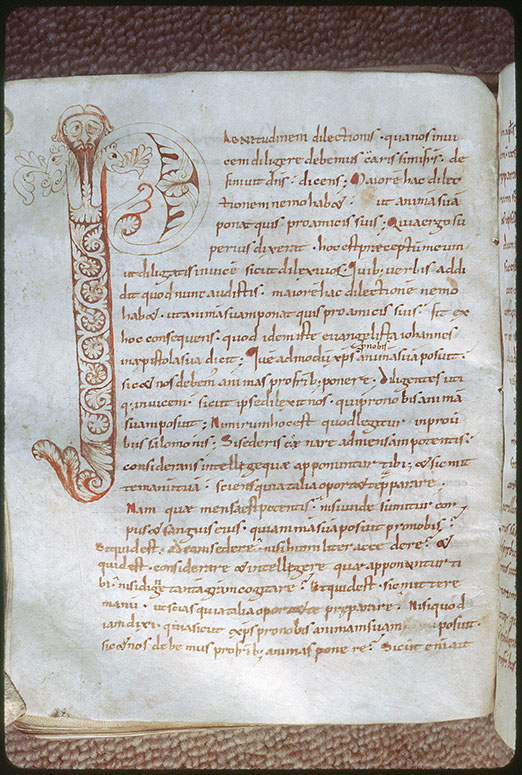 Tractatus in Evangelium Johannis - Initiale ornée