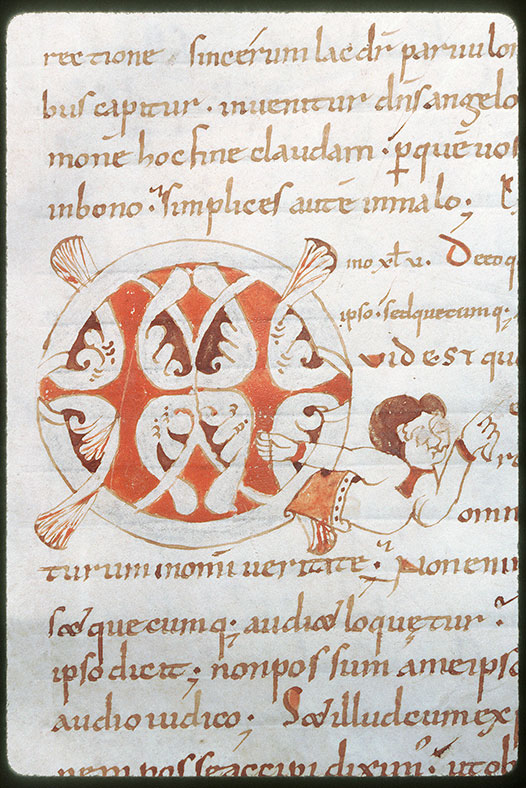Tractatus in Evangelium Johannis - Homme et végétaux