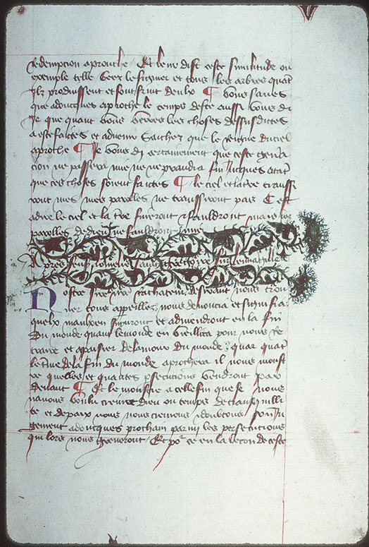 Homélies et opuscules spirituels - Chardon