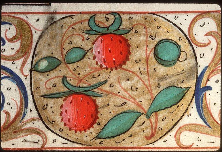 Heures à l'usage d'Amiens - Page décorée_2