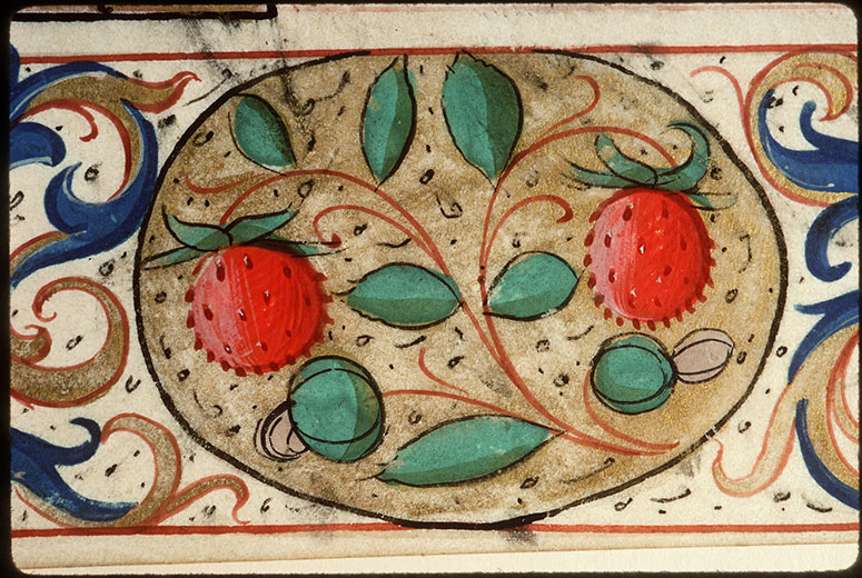 Heures à l'usage d'Amiens - Page décorée_2