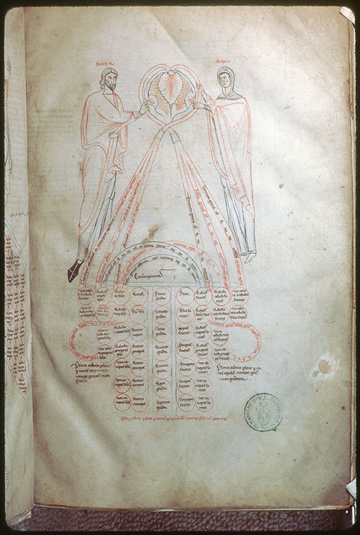 Arbor consanguinitatis et arbor affinitatis - Arbre d'affinité