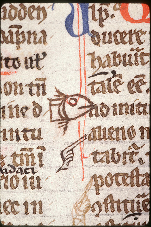 Digestum vetus - Poisson