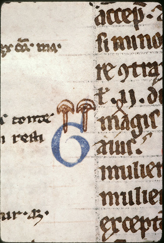 Digestum vetus - Motif marginal