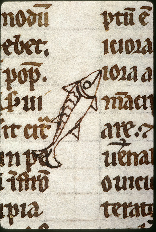 Digestum vetus - Poisson_0