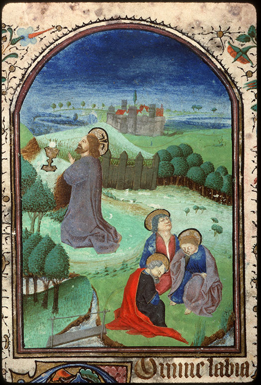 Heures à l'usage d'Amiens - Agonie du Christ_1