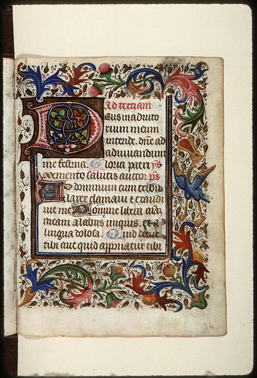 Heures - Hybride zoomorphe