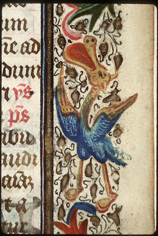 Heures - Hybride zoomorphe_1